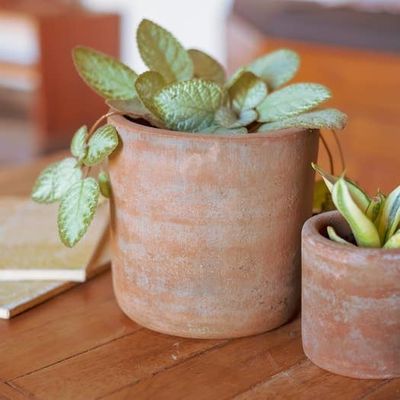 Planters