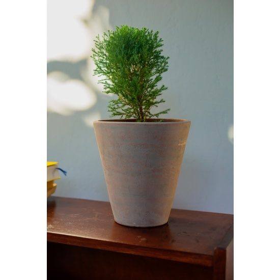 Concrete-washed Terracotta Planter Large, Nicaragua