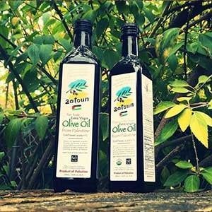 Zatoun Extra Virgin Olive Oil
