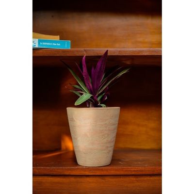 Concrete-washed Terracotta Planter Medium, Nicaragua