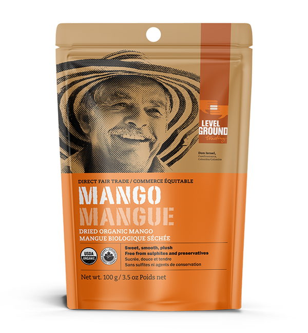 Dried Fruit Mango