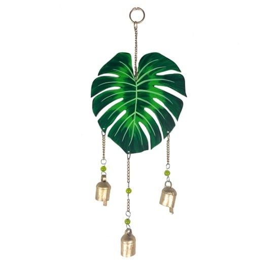 Monstera Chime, India
