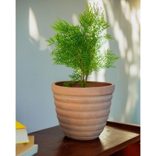 Concrete-washed Terracotta Ridged Planter, Nicaragua