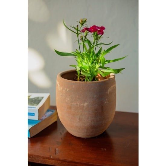 Concrete-washed Terracotta Round Planter, Nicaragua