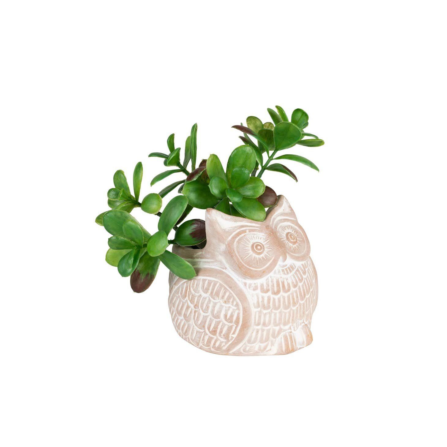 Terracotta Owl Planter Small, Bangladesh