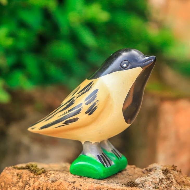 Soapstone Chickadee, Kenya
