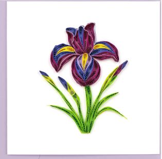 Iris Flower Quilling Card, Vietnam