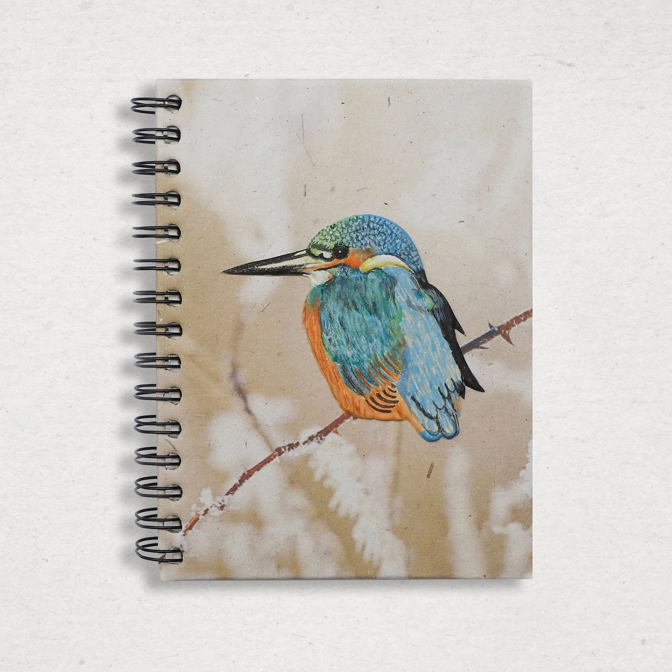 Large Notebook-Kingfisher, Sri Lanka