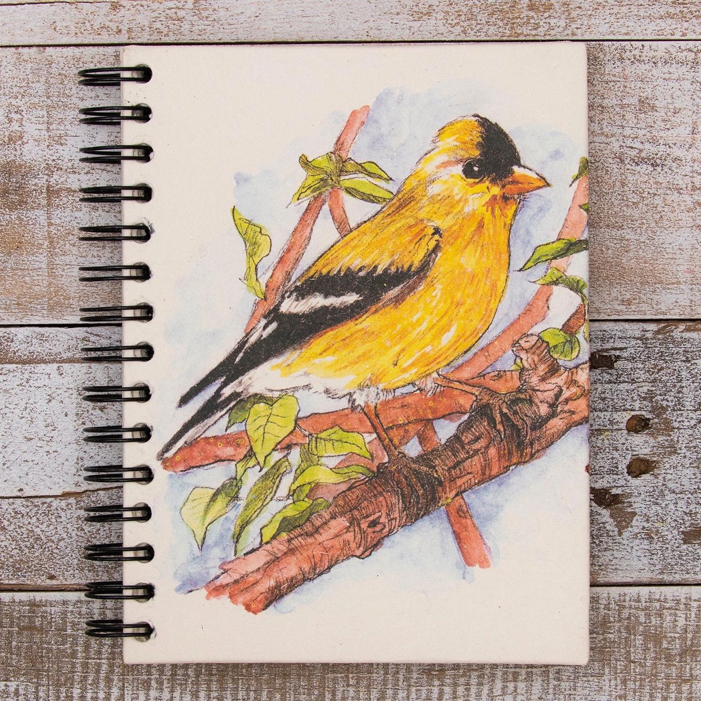 Large Notebook -Goldfinch Sketch, Sri Lanka