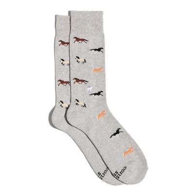 Socks That Save Horses, Medium