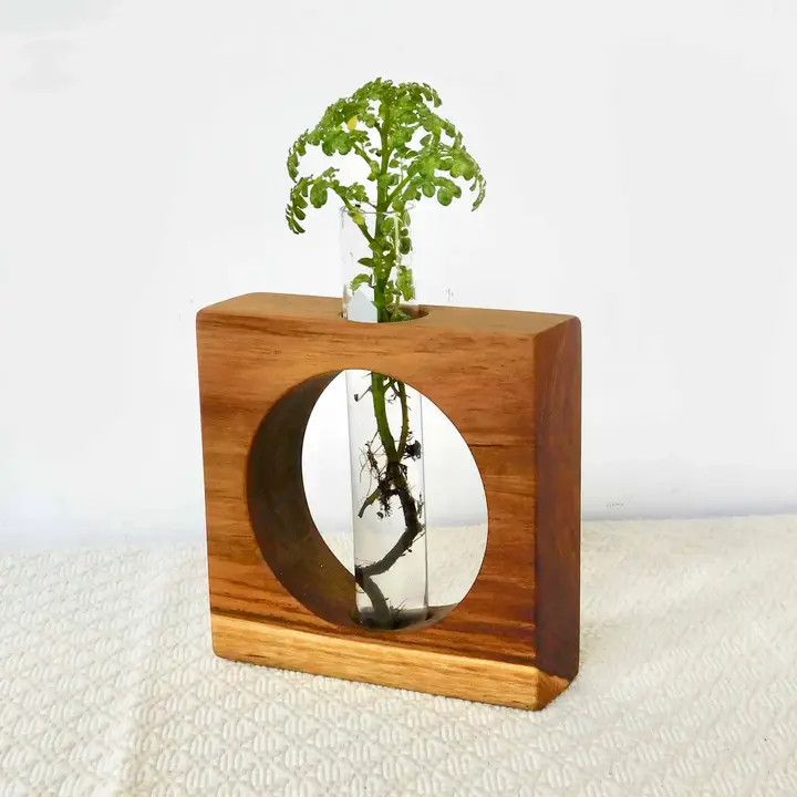 Geometric Cutout Propagation Vase, Guatemala