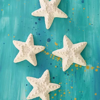 Soapstone Sea Star, Kenya