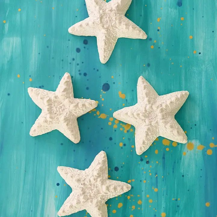 Soapstone Sea Star, Kenya