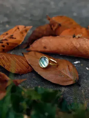 Montelle Ring Shell, India