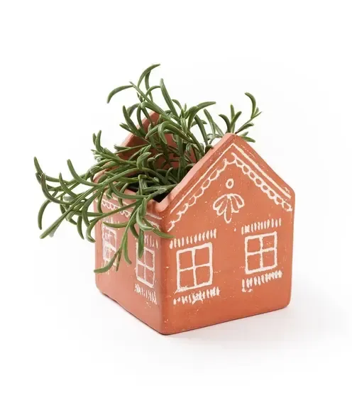 Terracotta House Planter, India