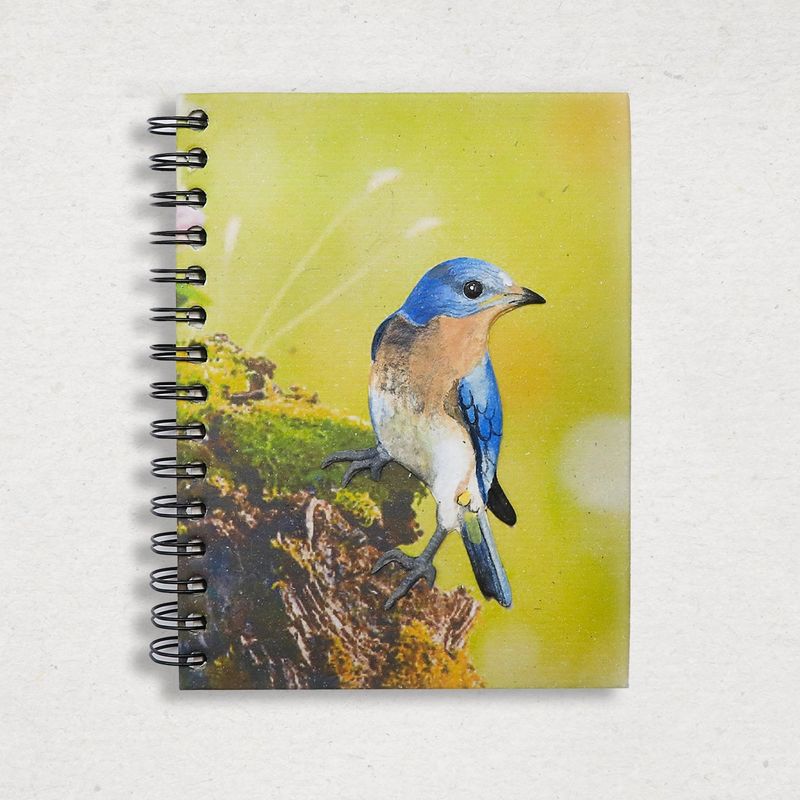 Large Notebook-Eastern Bluebird, Sri Lanka