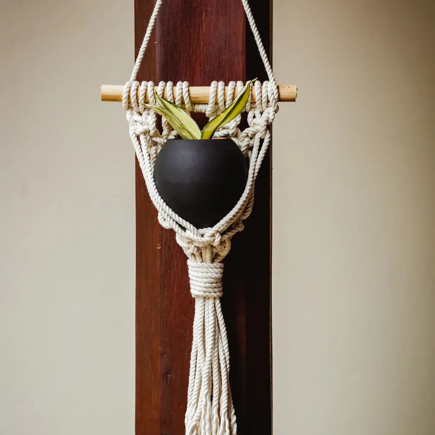 Macrame Wall Hanging Planter, Black, Nicaragua
