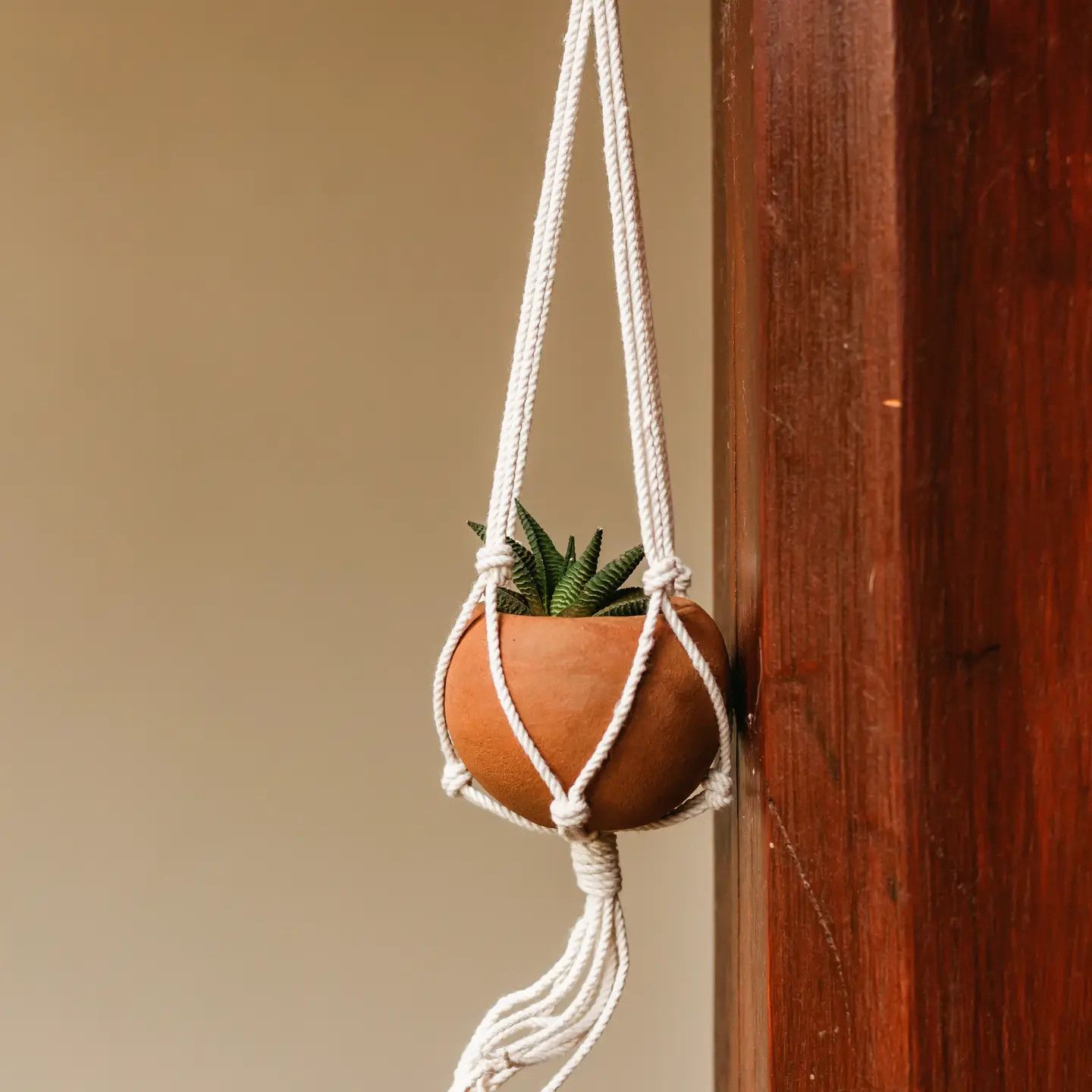 Mini Round Planter with Macrame Hanger, Nicaragua