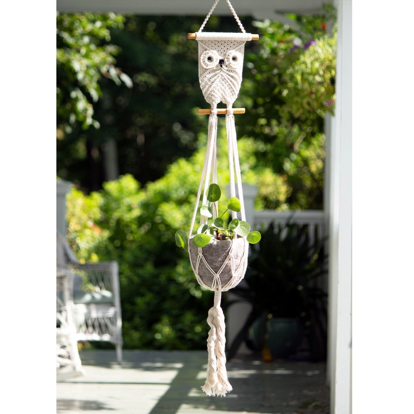 Owl Plant Hanger, Nepal