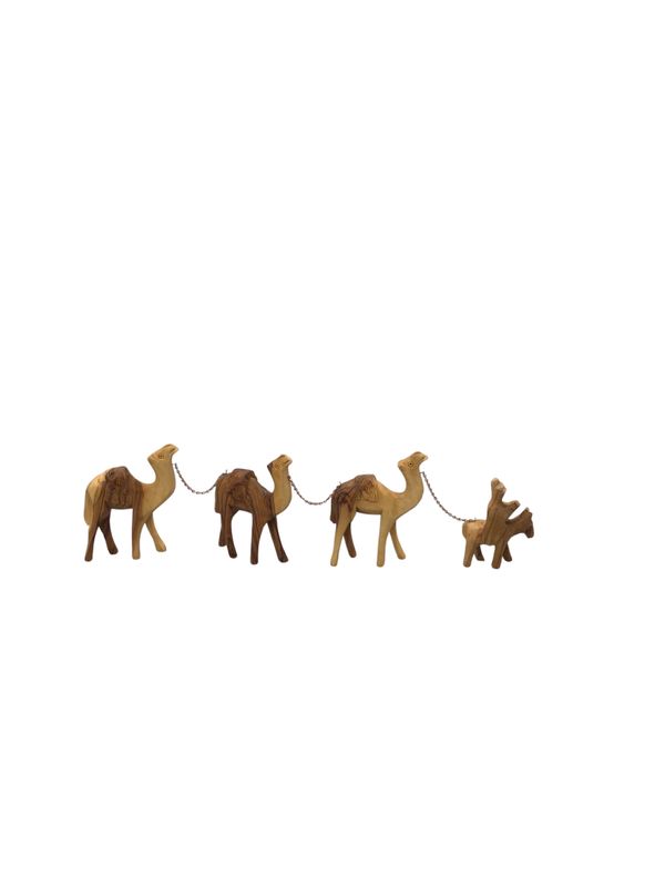 Camel Caravan, Bethleham