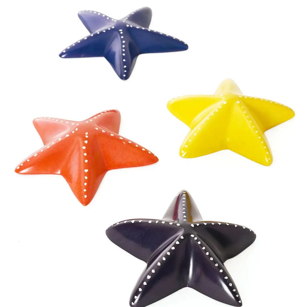 Colourful Soapstone Sea Star, Kenya