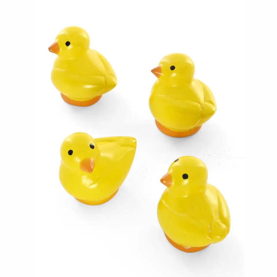 Yellow Soapstone Chick, Kenya