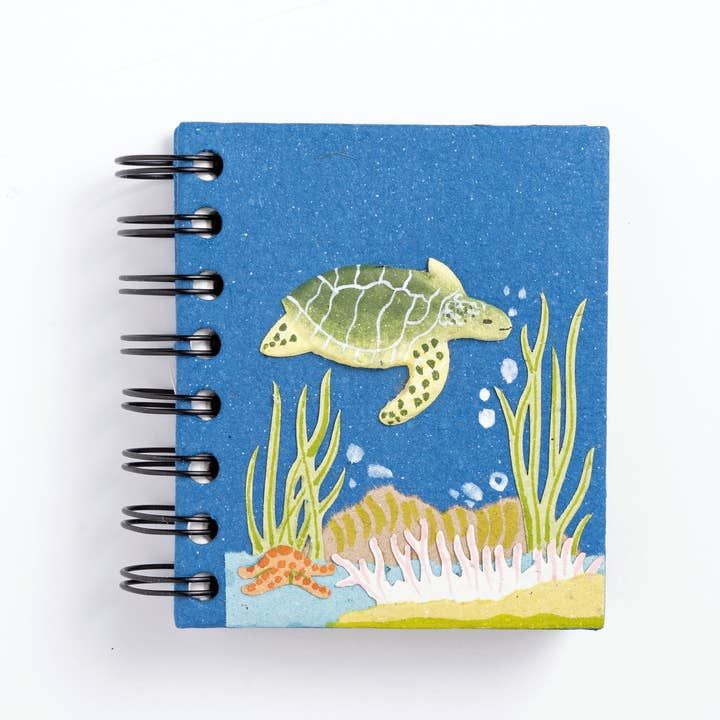 Small Notebook Sea Turtle, Sri Lanka