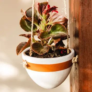 Small Hanging Planter - White/Terracotta, Nicaragua