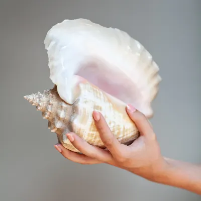 Stick &amp; Go - Coral Blush nagelstickers