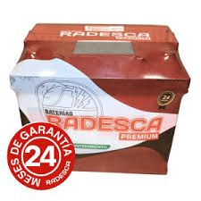 Bateria Radesca 100 Amp Autos Nafta