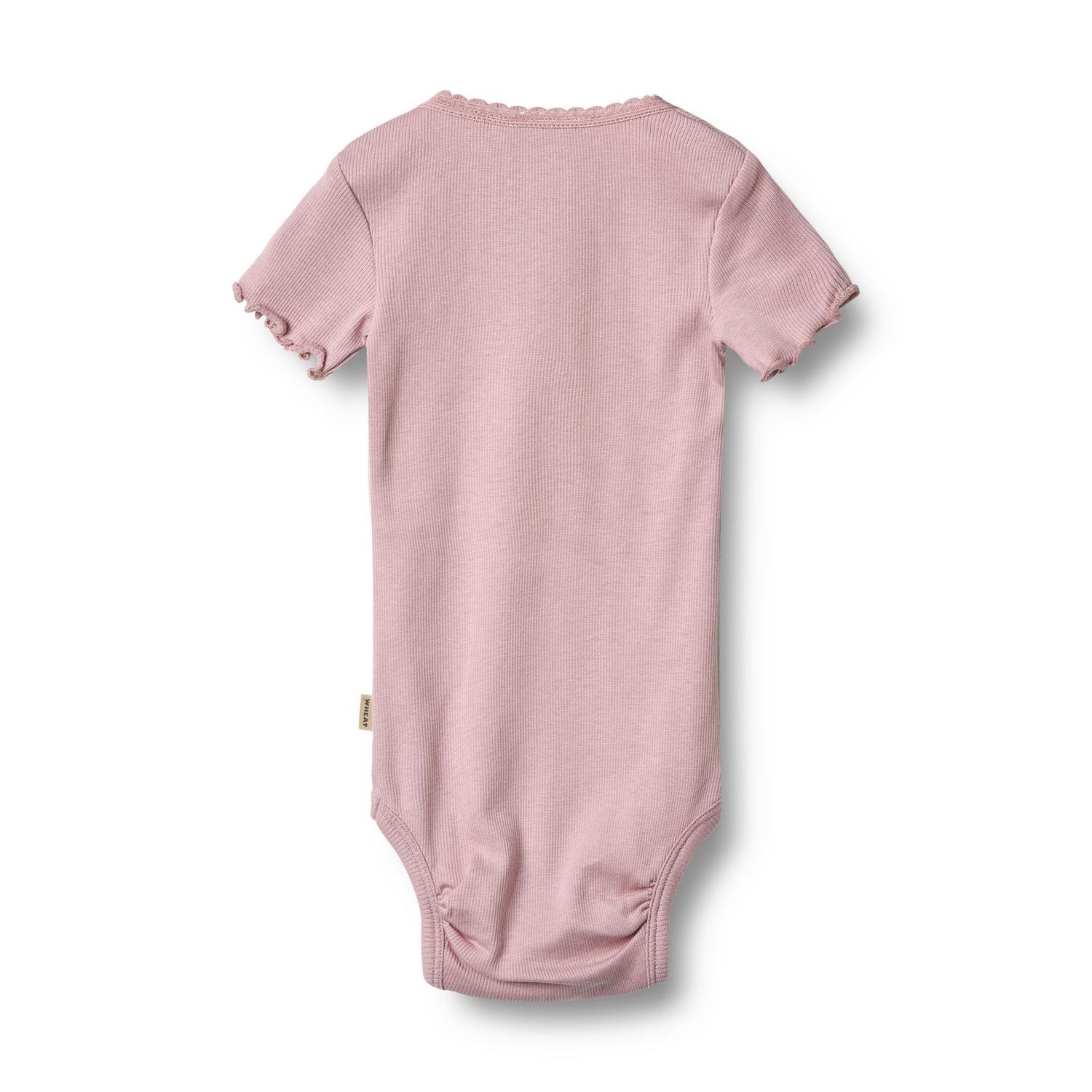 Wheat Rib Body S/S Edna