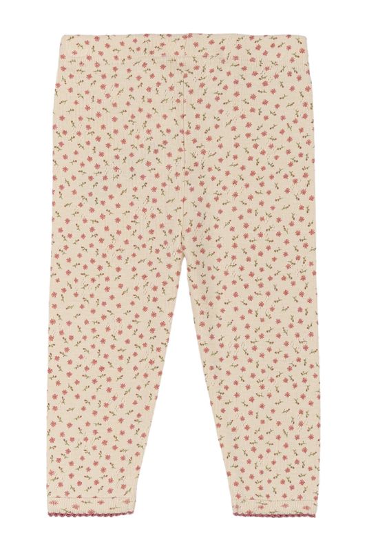 THE NEW SIBLINGS Odette Pointelle Leggings