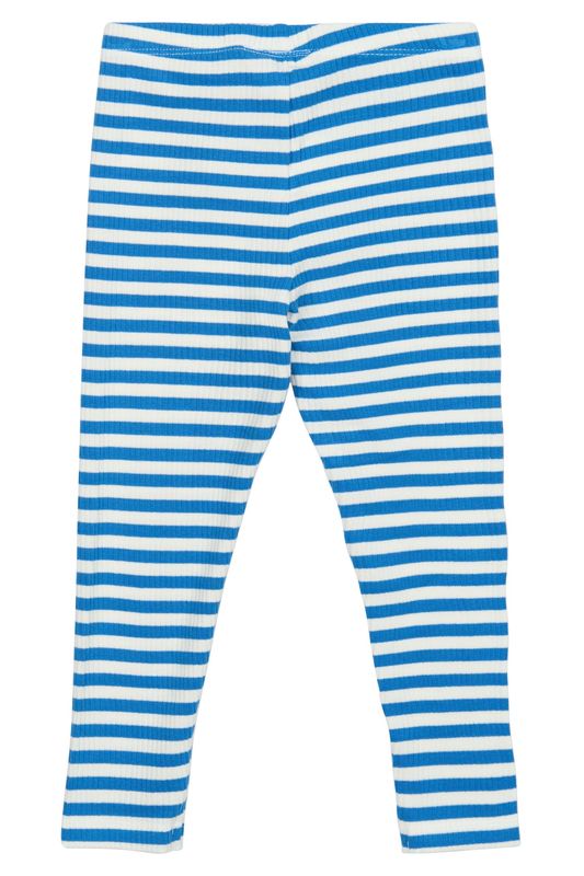 THE NEW SIBLINGS Fro Rib Leggings Campanula Striped
