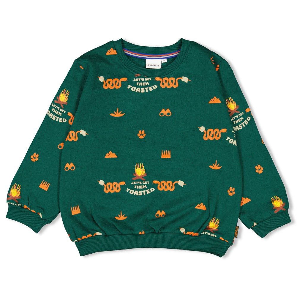 Sturdy Sweater AOP - Chasing Trails Groen