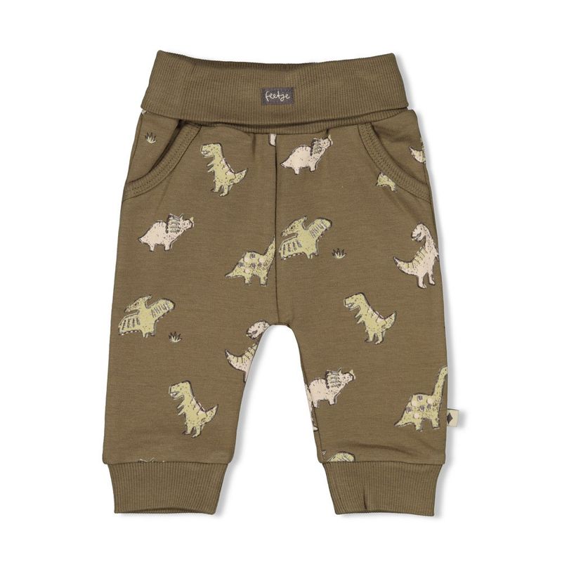 Feetje Broek AOP - Rawrsome