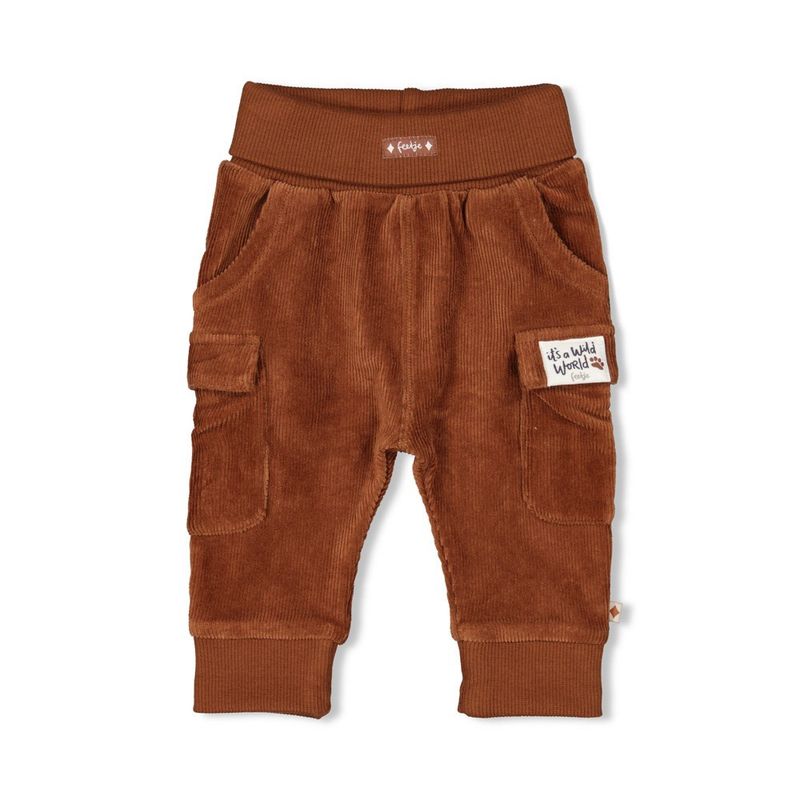 Feetje Broek velours rib - Wild World