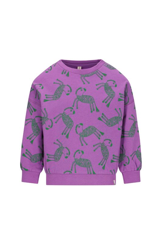 The New Chapter Bobbie  Sweaters Zebra