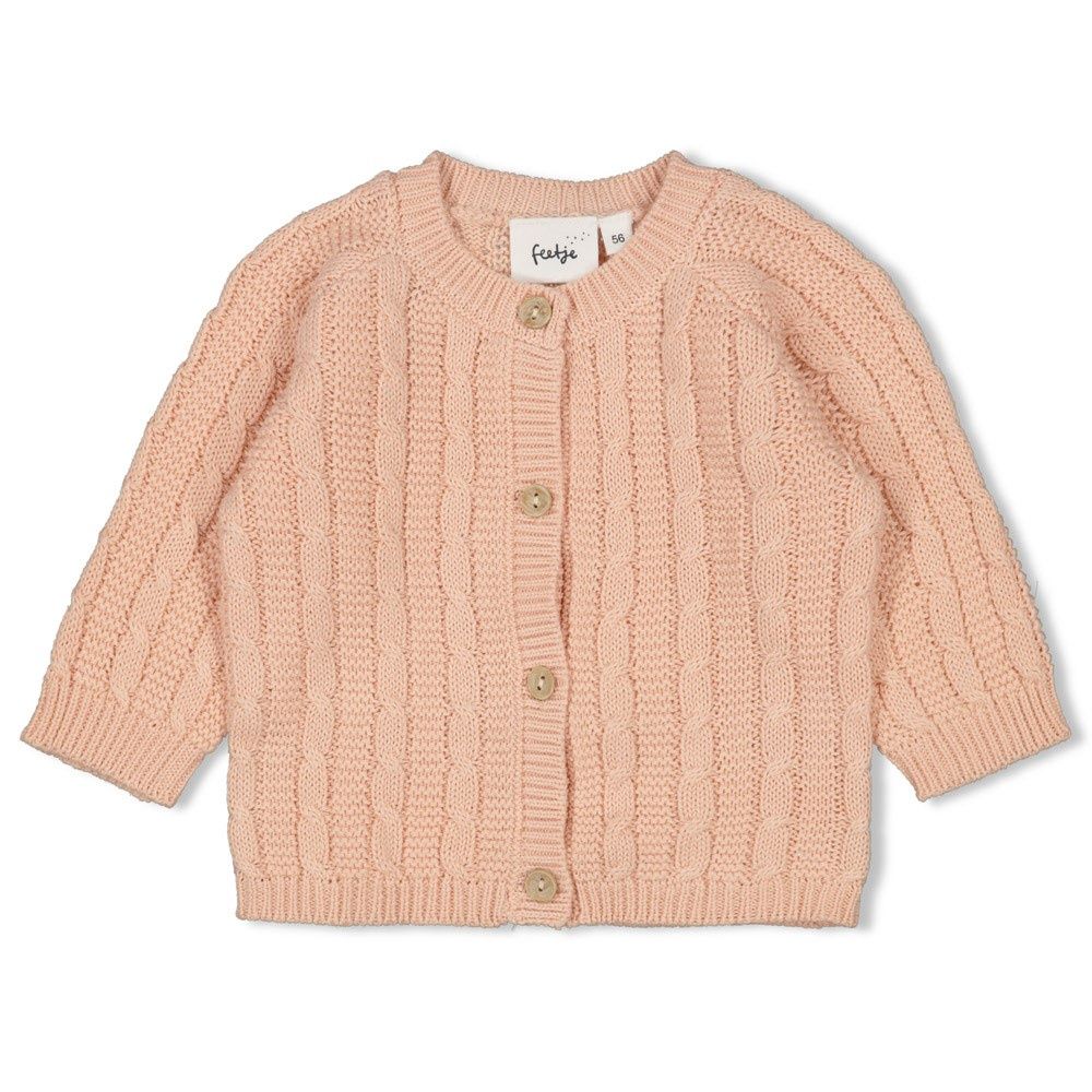 Feetje Vestje gebreid - The Knits Roze