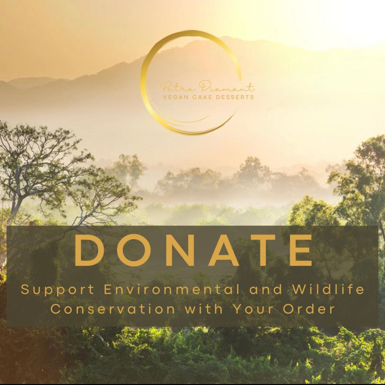 Donate