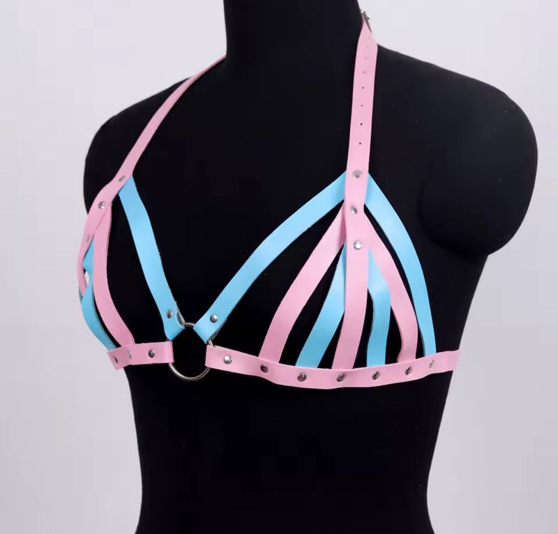 Chest Harness Bra Pink And Blue