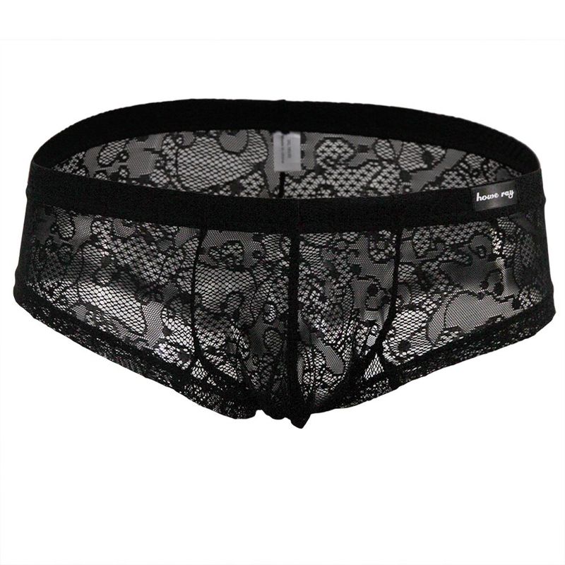 Sexy Lace Panties Translucent Nylon Pouch Boxer Briefs Black