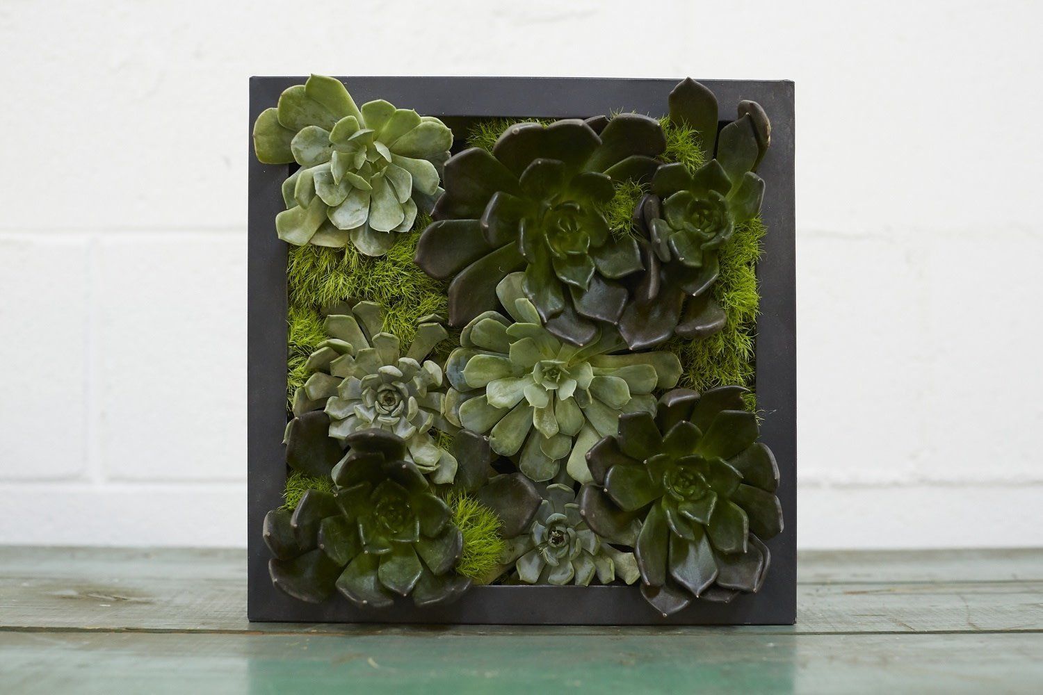 Carbon Box Planter 7x2.25