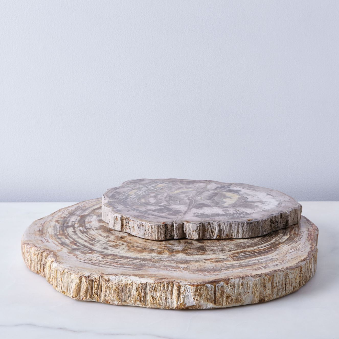 Petrified Wood Platter 14in. (36cm)