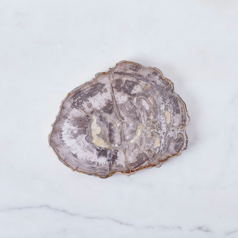 Petrified Wood Platter 8-10in. (20-25cm)