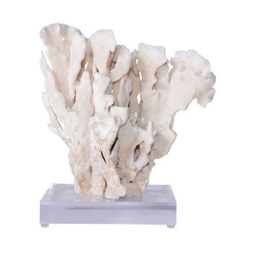 Cactus Coral - Large