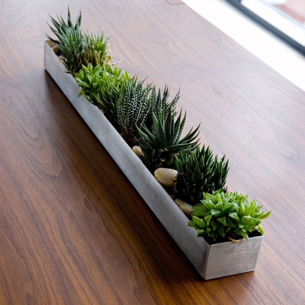 Fruit Trough