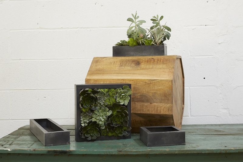 Carbon Box Planter 11x2.5