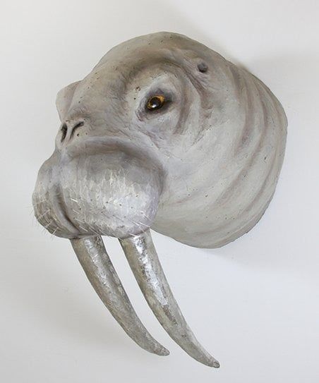 Walrus Trophy- Grey