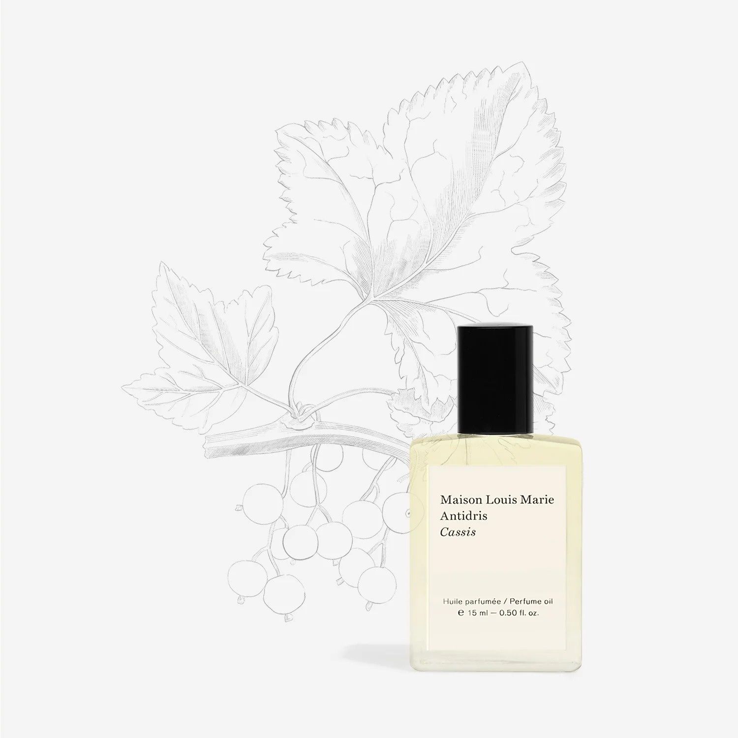 Antidris CASSIS Perfume Oil