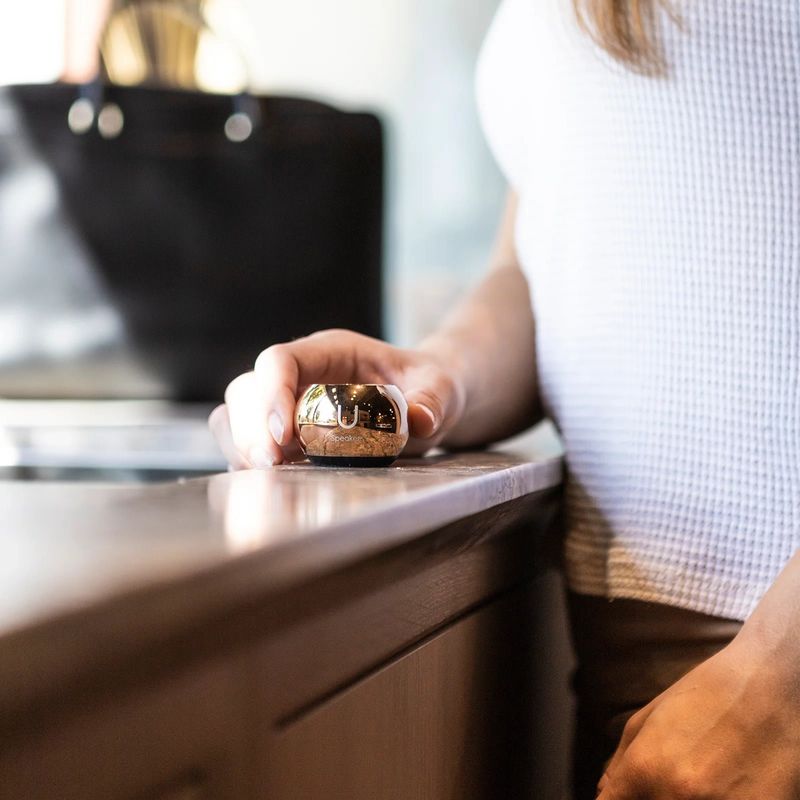 U Mini Speaker, Mirror Rose Gold